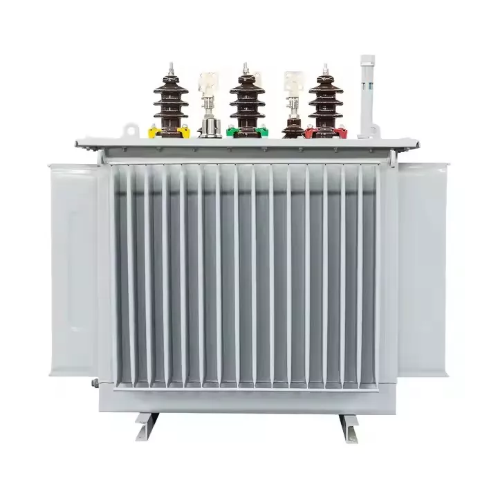 Transformateur immergé d'huile de 1000 kva